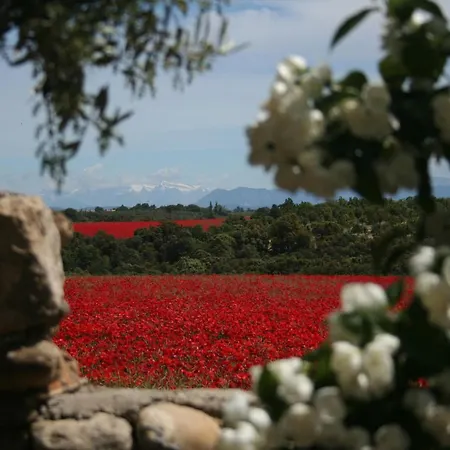 Le Midi, A Refined Master House In Provence With A Swimming Pool Alloggio per agriturismo
